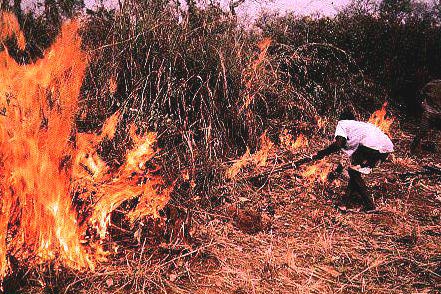 Starting a fire for slash and burn plot in Mexico (Picture courtesy 